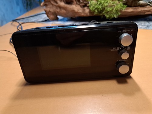 Terris radiowecker 291 - rw, mit
