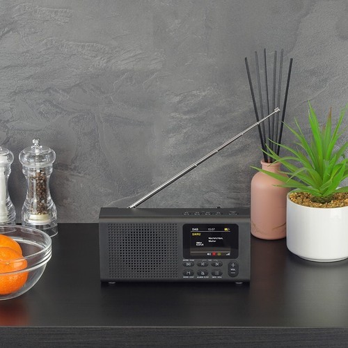 Dynavox dbt200 tragbares - dynavox,